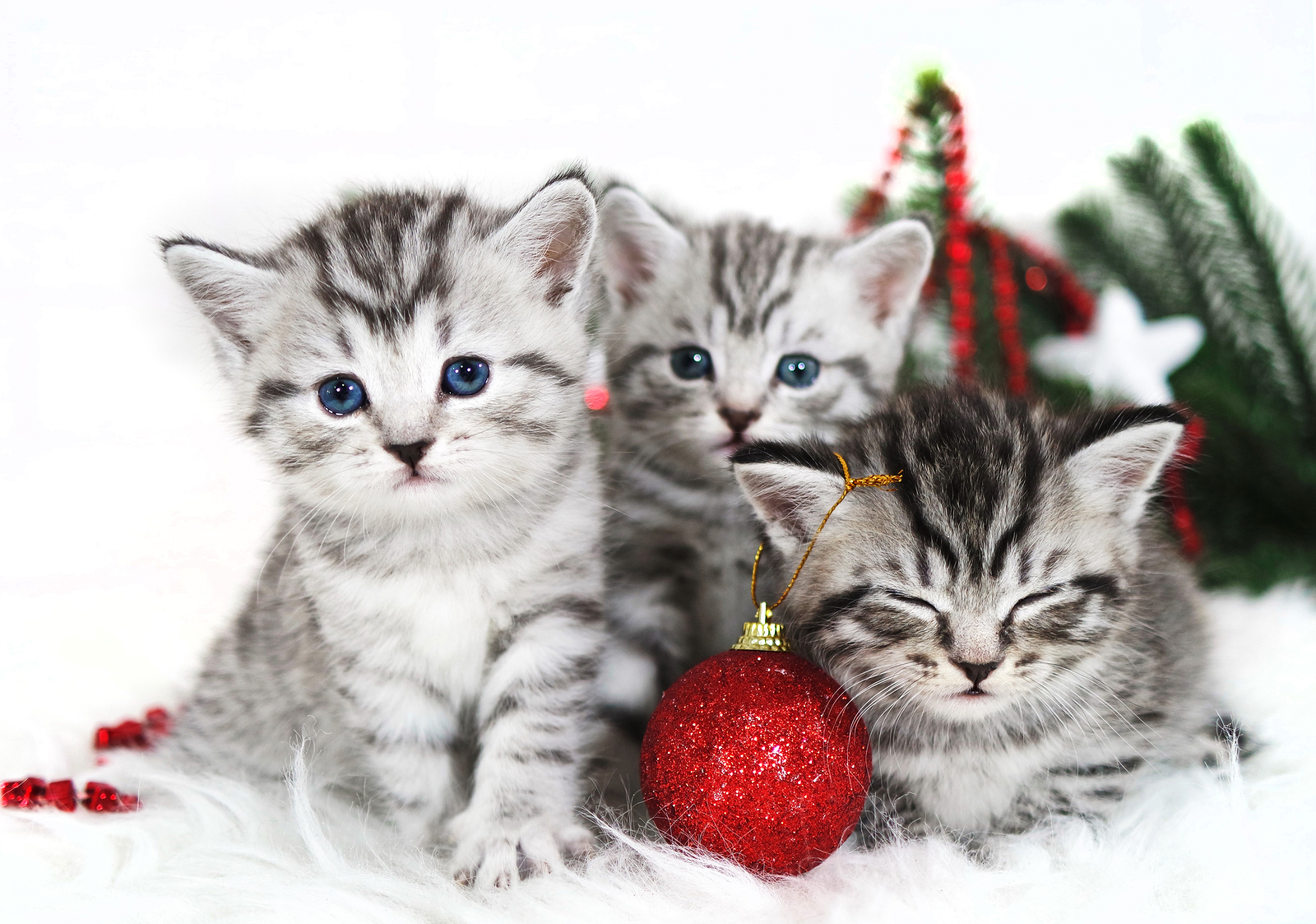 5 ways to boost your Christmas kitty - Serenity Financial